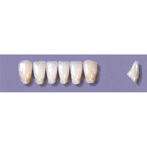 Myerson Anteriors #A73/58 (1 x 6 Card), Each