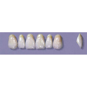 MYERSON ANTERIORS #A7/E (1x6 CARD) Card