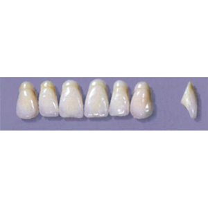 MYERSON ANTERIORS #A9/69 (1x6 CARD) Card