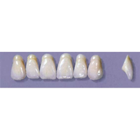 Myerson Anteriors #A9/D (1 x 6 Card), Each