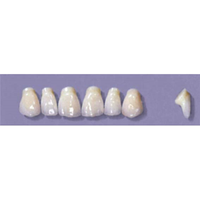 MYERSON ANTERIORS #PM2/58 (1x6CARD) Card
