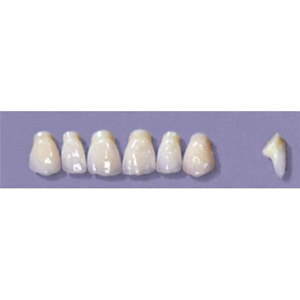 MYERSON ANTERIORS #PM2/D (1x6 CARD) Card