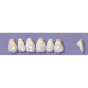 Myerson Anteriors, No PM4/62, 6/Card