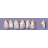 Myerson Anteriors #PM6/58 (1 x 6 Card), Each