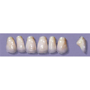 Myerson Anteriors #PM8/58 (1 x 6 Card), Each