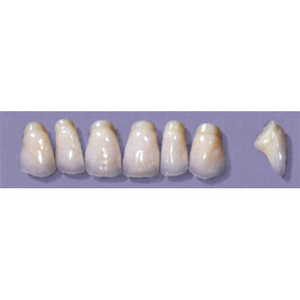 Myerson Anteriors #PM8/58 (1 x 6 Card), Each