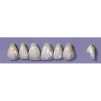 Myerson Anteriors #PW2/58 (1 x 6 Card), Each