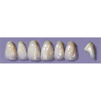 MYERSON ANTERIORS #PW6/G (1x6 CARD) Card