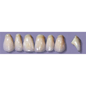 MYERSON ANTERIORS #PW8/C (1x6 CARD) Card
