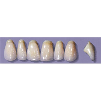 MYERSON ANTERIORS #PW8/E (1x6 CARD) Card