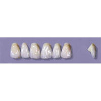 Myerson Anteriors #YM3/58 (1 x 6 Card), Each