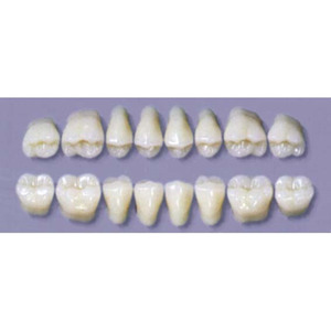 MYERSON DURA POST #32L/I (1x8 CARD) Card