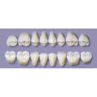 MYERSON DURA POST #32SLL/G (1x8 CARD) Card