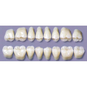 MYERSON DURA POST #34SLU/58 (1x8 CARD) Card