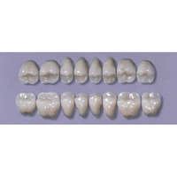 MYERSON DB SYN POST #28LSL/I (1x8 CARD) Card