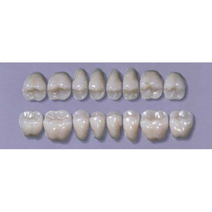 MYERSON POSTERIOR SYN #28LU/H (1x8 CARD) Card
