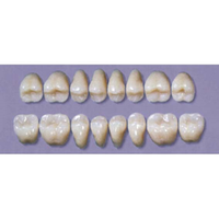 MYERSON DB SYN POST #30MU/58 (1x8 CARD) Card
