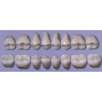 MYERSON DB SYN POST #34ML/69 (1x8 CARD) Card