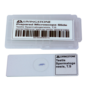 Livingstone Prepared Slide Transverse
