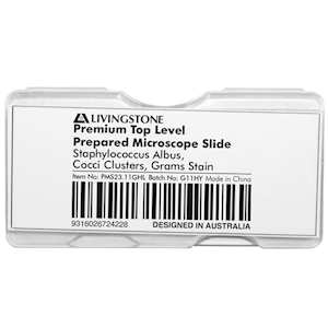 Livingstone Premium Top Level Prepared Slide, Staphylococcus Albus, Cocci Clusters, Grams Stain, Each Each