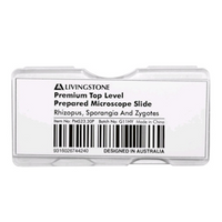 Livingstone Premium Top Level Prepared Slide, Rhizopus, Sporangia And Zygotes, Each Each