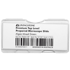 Livingstone Premium Top Level Prepared Slide, Algae Mixed Green, Each Each