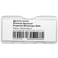 Livingstone Premium Top Level Prepared Slide, Volvox, Whole Mount, Each Each