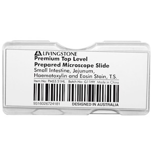 Livingstone Premium Top Level Prepared Slide, Small Intestine, Jejunum, Haematoxylin and Eosin Stain, Transverse Section, Each Each