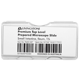 Livingstone Premium Top Level Prepared Slide, Small Intestine, Ileum, Transverse Section, Each Each