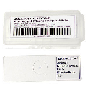 Livingstone Prepared Slide Transverse