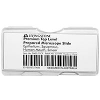 Livingstone Premium Top Level Prepared Slide, Epithelium, Squamous, Human Mouth, Smear, Each Each