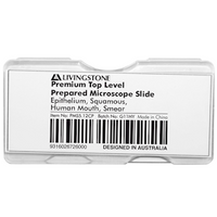 Livingstone Premium Top Level Prepared Slide, Epithelium, Squamous, Human Mouth, Smear, Each Each