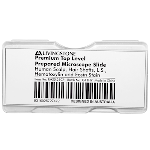 Livingstone Premium Top Level Prepared Slide, Human Scalp, Hair Shafts, Longitudinal Section, Hematoxylin and Eosin Stain, Each Each