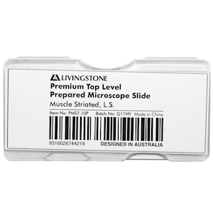 Livingstone Premium Top Level Prepared Slide, Muscle Striated, Longitudinal Section, Each Each