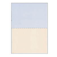 COMP PAPER REDIFORM ATTACHE 2PARTS Carton