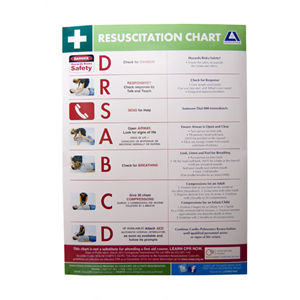 Livingstone Resuscitation Chart, Danger - Response - Summon Help - Airway - Breathing - CPR - Defibrillation, A2, Not Laminated, Each Each