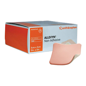 Smith & Nephew Allevyn Dressing Sheets, 5 x 5cm, 10/Pack (SN7643) Pack