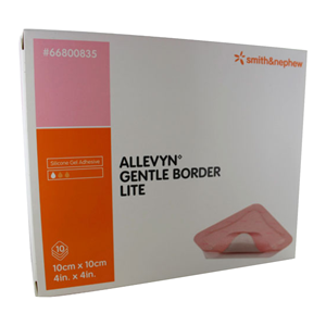 Allevyn Adhesive Hydrocellular Foam Dressings with Border, Gentle, 10 x 10cm, 10/Box Box