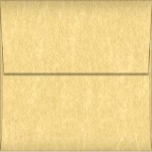 ENV. 110X220MM PARCHTONE GOLD 25/PK Pack