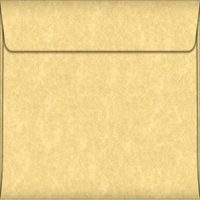 SPEC. PARCHTONE GOLD A4 89GSM 100/PK Pack