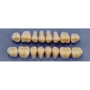 ULTRADENT POST. 29L/77 UPPER (1x8 CARD) Card