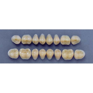 ULTRADENT POST. 29M/77 LOWER (1x8 CARD) Card