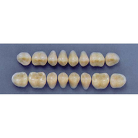 ULTRADENT POST. 29M/62 UPPER (1x8 CARD) Card