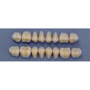 ULTRADENT POST. 29S/66 UPPER (1x8 CARD) Card