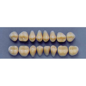 ULTRADENT POST 30L/67 LOWER (1x8 CARD) Card