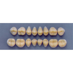 ULTRADENT POST 30M/A2 LOWER (1x8 CARD) Card