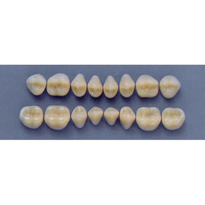 ULTRADENT POST 30S/65 LOWER (1x8 CARD) Card