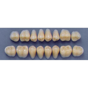 ULTRADENT POST. 31L/62 UPPER (1x8 CARD) Card