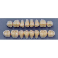 ULTRADENT POST. 31L/77 UPPER (1x8 CARD) Card