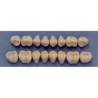 ULTRADENT POST. 31M/77 LOWER (1x8 CARD) Card